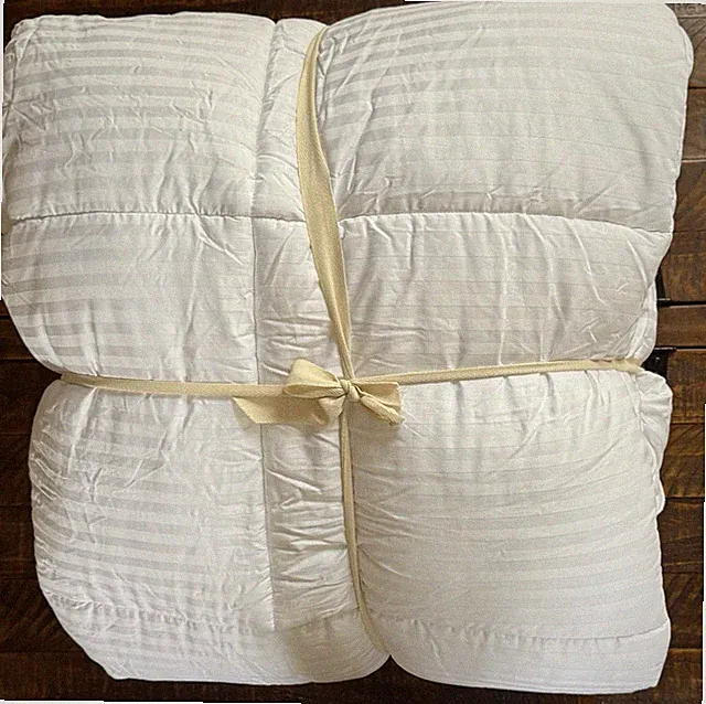 Pottery Barn Hydrocool Moisture Wicking Duvet Insert Ultra Plush Full/Queen READ